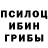 Псилоцибиновые грибы GOLDEN TEACHER godsavethelunatics