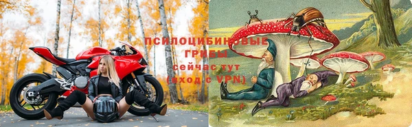 мяу мяу мука Костерёво