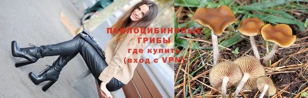 мяу мяу мука Костерёво