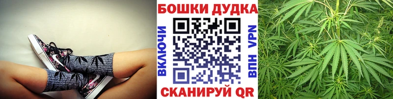 Купить  Клин  МАРИХУАНА семена 